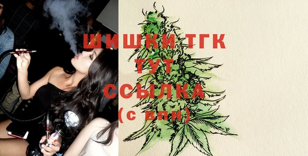 МДПВ Володарск
